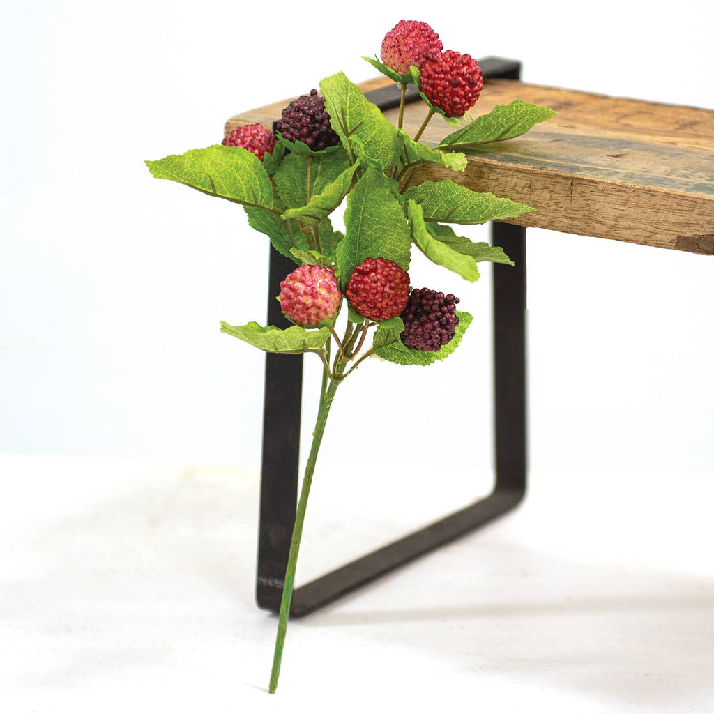 Fresh Raspberries Pick - 10.5"