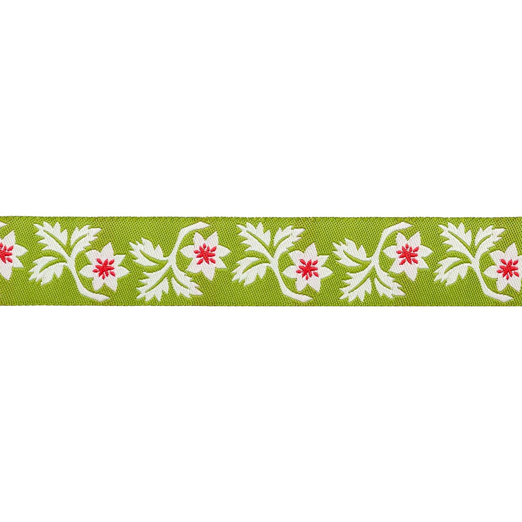 Buon Natale - Holly and Vine in Pine - 7/8" - by Joanna Figueroa - 15 Yard Spool