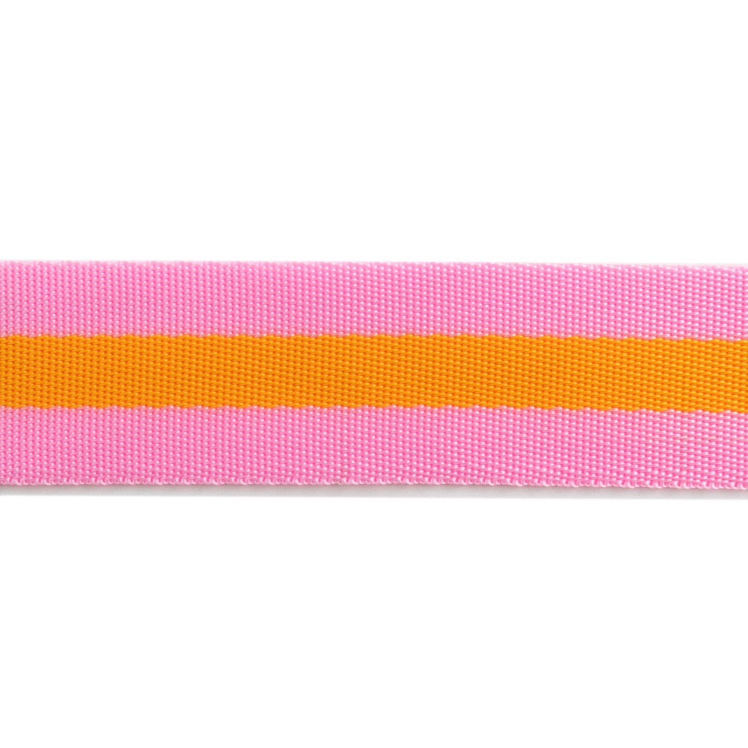 Pink and Orange - 1.5" Nylon Webbing - by Tula Pink - 16 Yard Spool