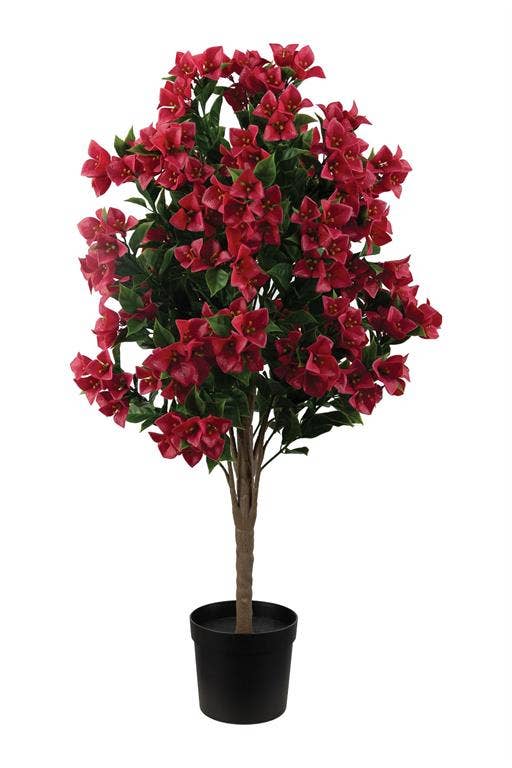 Bougainvillea Tree In Pot, #6533-HP