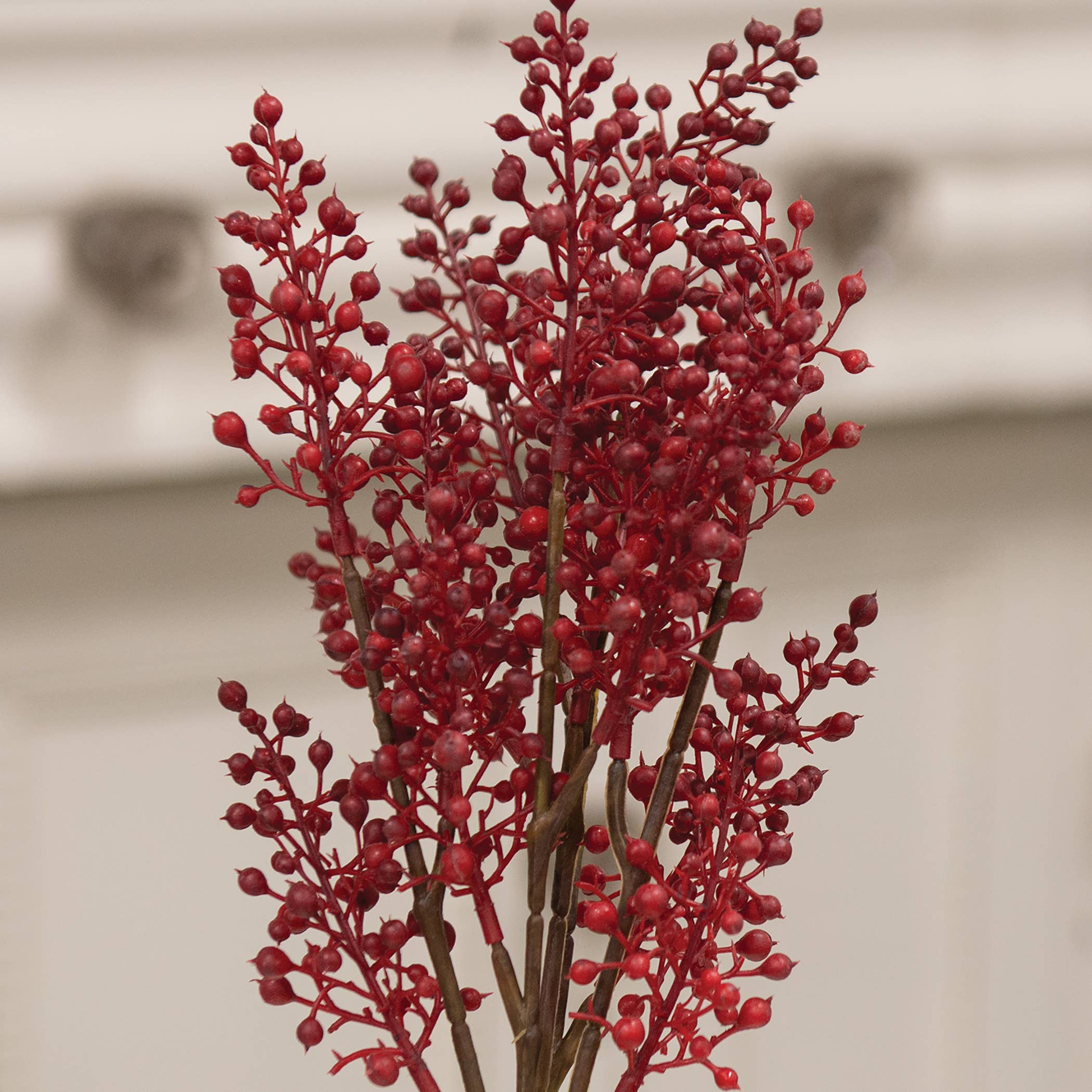 Pepperberry Cluster Bush - 11.5"