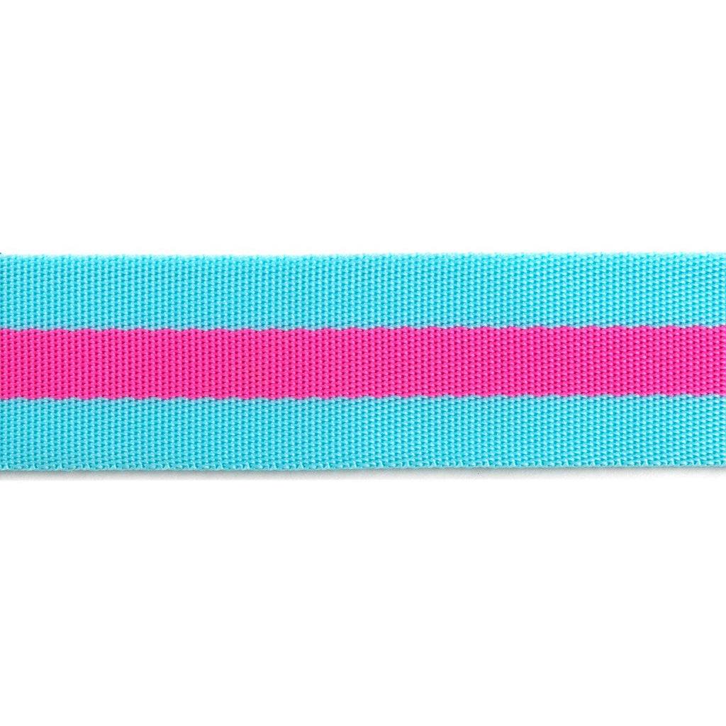 Aqua and Hot Pink - 1.5" Nylon Webbing - by Tula Pink - 16 Yard Spool