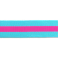Aqua and Hot Pink - 1.5" Nylon Webbing - by Tula Pink - 16 Yard Spool