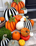 Yard Sized Short Striped Pumpkin