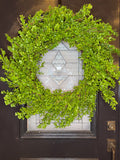 Classic 32" Boxwood