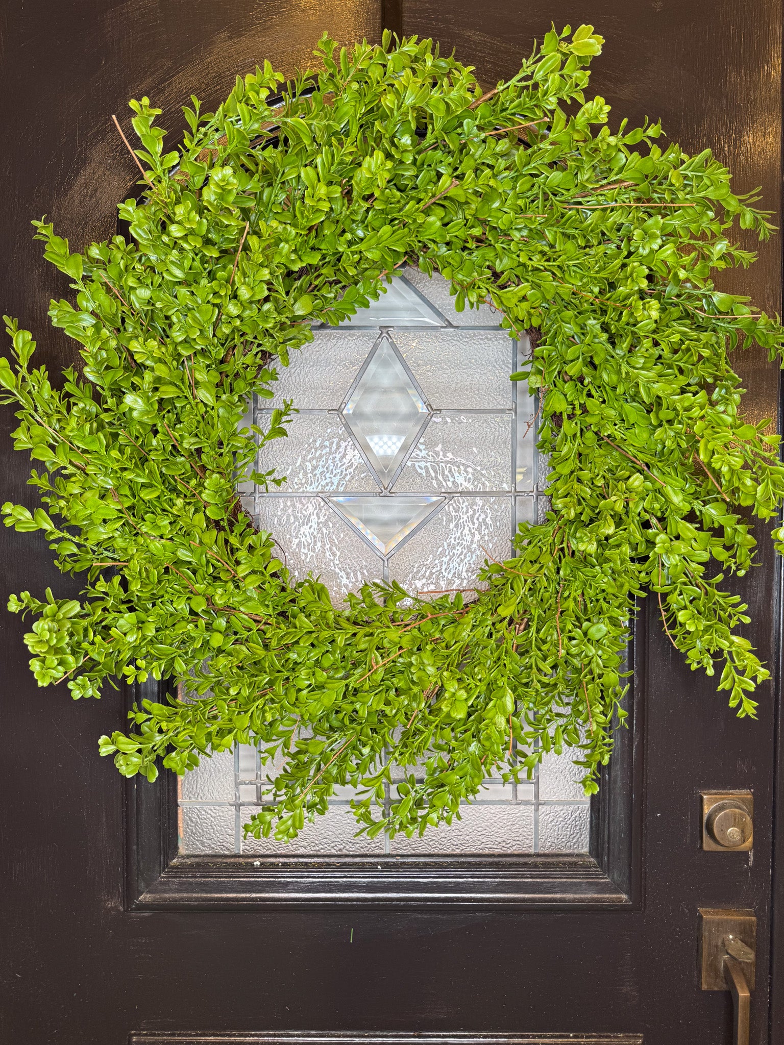 Classic 32" Boxwood