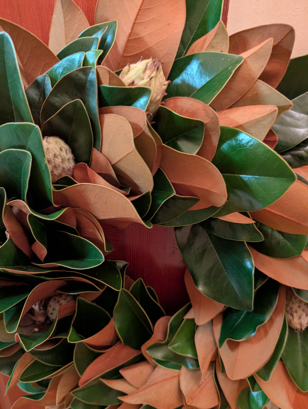The Classic 30-inch Lucknow Southern Fresh Magnolia Wreath: 20-inch