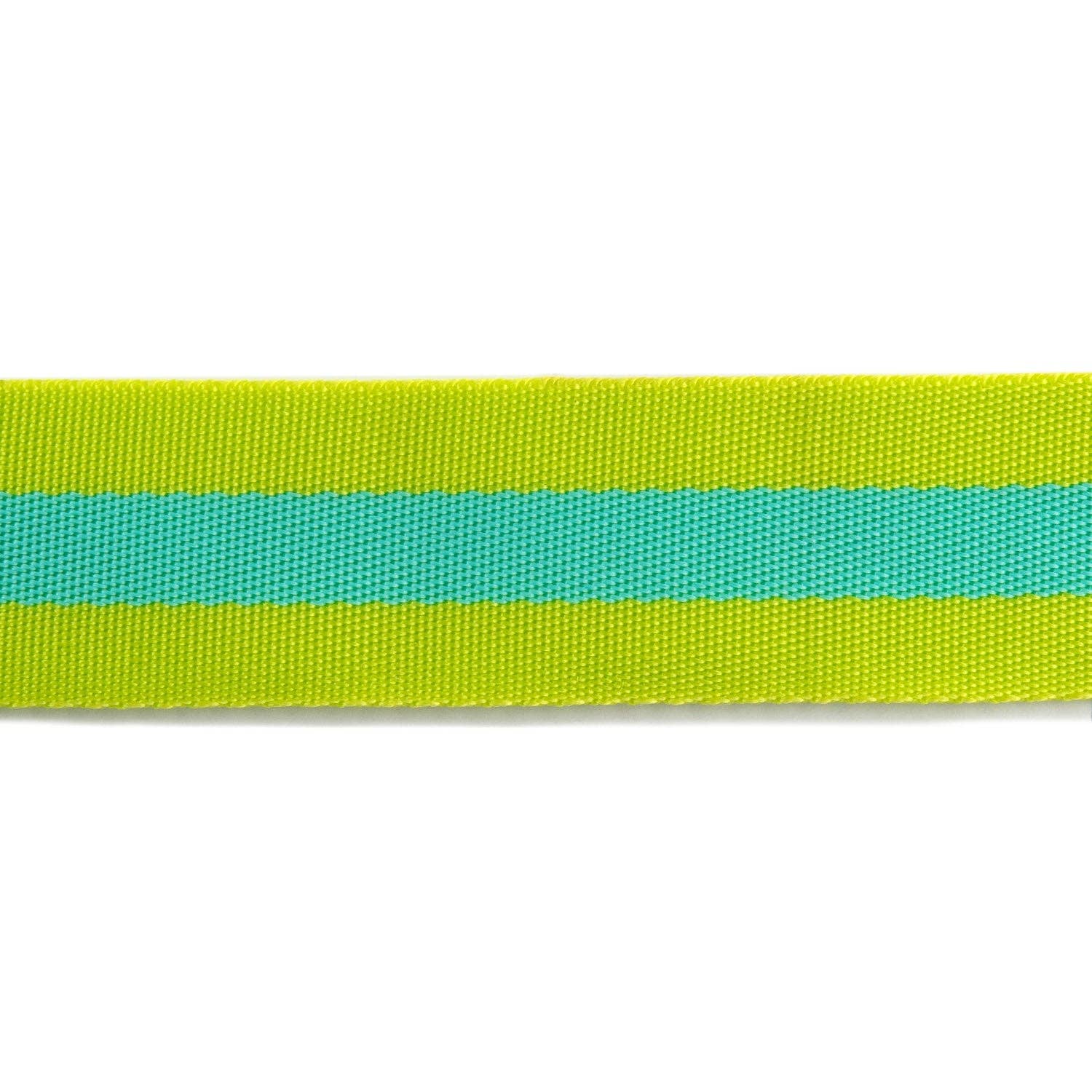 Lime and Turquoise - 1.5" Nylon Webbing - by Tula Pink - 16 Yard Spool