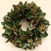The Classic 30-inch Lucknow Southern Fresh Magnolia Wreath: 20-inch