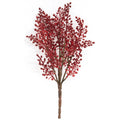 Pepperberry Cluster Bush - 11.5"